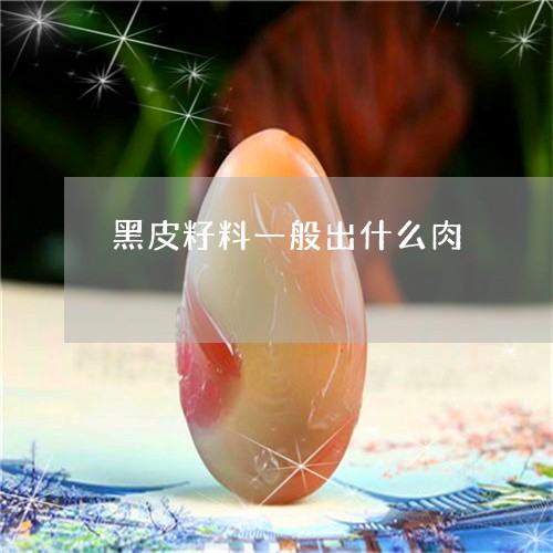 黑皮籽料一般出什么肉/2023051034036