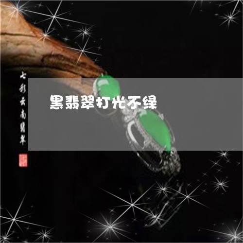 黑翡翠打光不绿/2023080161583