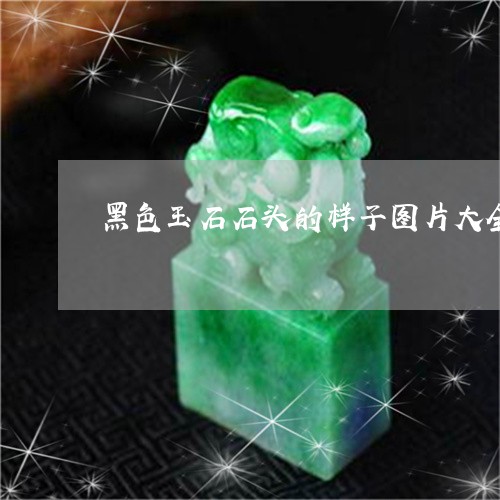 黑色玉石石头的样子图片大全/2023112313728