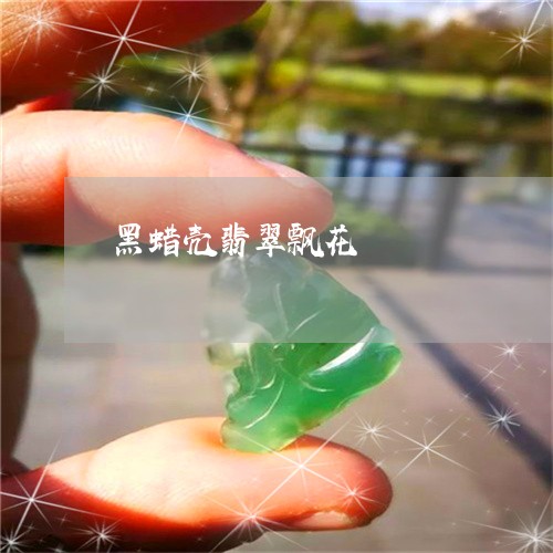 黑蜡壳翡翠飘花/2023080143037