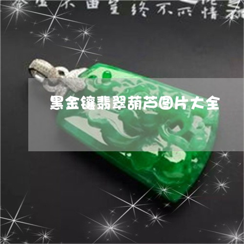 黑金镶翡翠葫芦图片大全/2023111503715