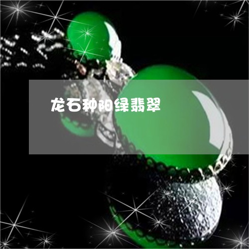 龙石种阳绿翡翠/2023080136936