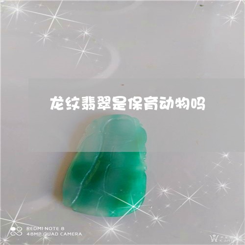 龙纹翡翠是保育动物吗/2023051101737